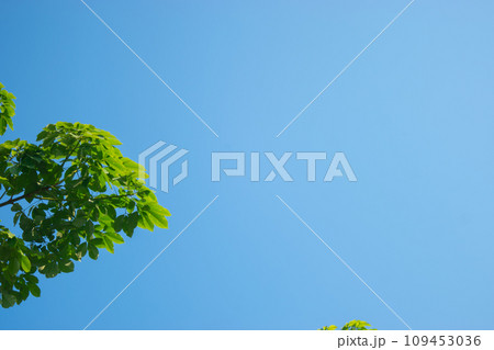 Beautiful Blue Sky View in Indonesian Summer 109453036