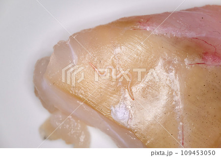 刺身についているアニサキス 109453050