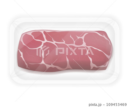 raw piece of meat cut into steaks vector illustration raw piece of meat cut into steaks vector illustration 109453469