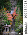 紅葉に包まれたお寺 109454018