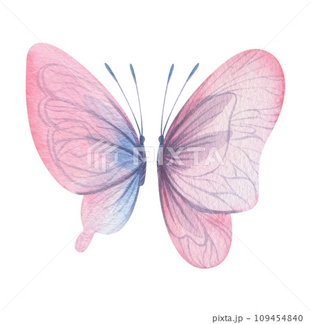 Butterflies are pink, blue, lilac, flying, delicate with wings and splashes of paint. Hand drawn watercolor illustration. Set of isolated elements on a white background, for design 109454840
