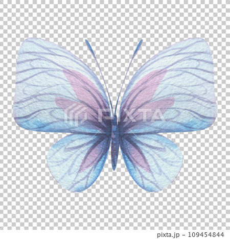 Flying Butterfly With Blue Wings Isolated On White Background