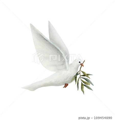 Dove of Peace with olive tree twig watercolor illustration isolated on white background. White flying pigeon bird for pacific symbols designs Dove of Peace with olive tree twig watercolor illustration isolated on white background. White flying pigeon bird for pacific symbols designs 109454890