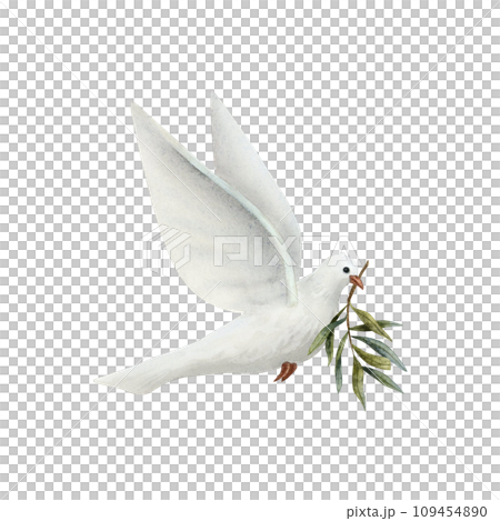 Dove of Peace with olive tree twig watercolor illustration isolated on white background. White flying pigeon bird for pacific symbols designs Dove of Peace with olive tree twig watercolor illustration isolated on white background. White flying pigeon bird for pacific symbols designs 109454890