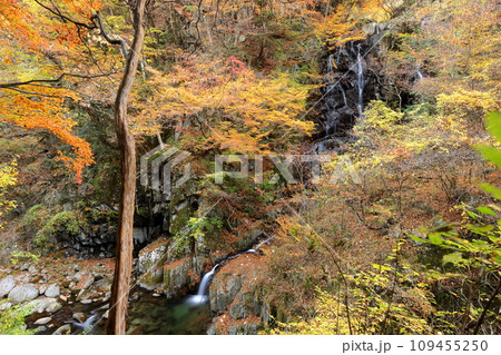山梨県山梨市三富上釜口　笛吹川に架かる滝　名瀑一之釜の隣に流れる釜沢の滝と紅葉のスローシャッター撮影 109455250