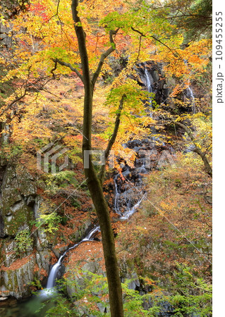 山梨県山梨市三富上釜口　笛吹川に架かる滝　名瀑一之釜の隣に流れる釜沢の滝と紅葉のスローシャッター撮影 109455255