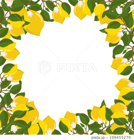 A border of lemon twigs and lemons. Composition of citrus fruits. Vector illustration isolated on a white background. A border of lemon twigs and lemons. Composition of citrus fruits. Vector illustration isolated on a white background. 109455279