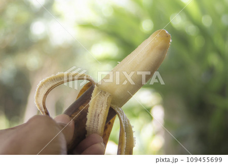 Rotten banana with hand holding on blurred bokeh nature 109455699