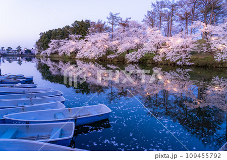 《新潟県》桜満開・春の高田城址公園の夜景 109455792