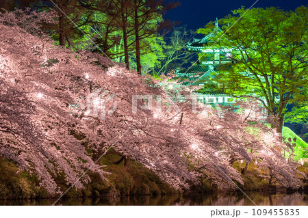 《新潟県》桜満開・春の高田城址公園の夜景 《新潟県》桜満開・春の高田城址公園の夜景 109455835