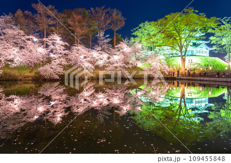 《新潟県》桜満開・春の高田城址公園の夜景 109455848