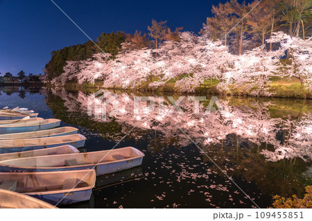 《新潟県》桜満開・春の高田城址公園の夜景 《新潟県》桜満開・春の高田城址公園の夜景 109455851