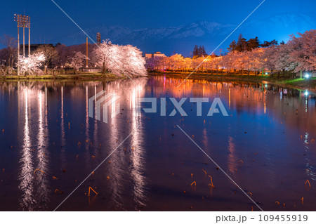 《新潟県》桜満開・春の高田城址公園の夜景 109455919