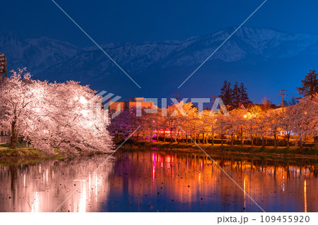 《新潟県》桜満開・春の高田城址公園の夜景 109455920