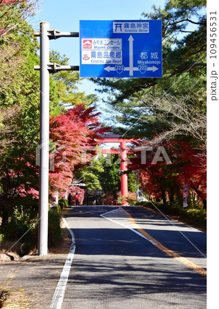 霧島市　色鮮やかな紅葉と霧島神宮大鳥居と案内標識 109456531