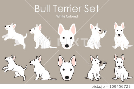 シンプルで可愛い白いブルテリアのイラストセット 主線あり・なし シンプルで可愛い白いブルテリアのイラストセット 主線あり・なし 109456725
