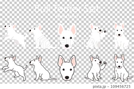 シンプルで可愛い白いブルテリアのイラストセット 主線あり・なし シンプルで可愛い白いブルテリアのイラストセット 主線あり・なし 109456725