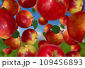 Fruits falling down on sky background 109456893
