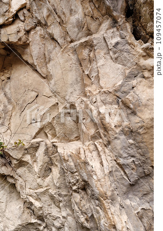 Light backdrop of a natural stone surface. Great texture for your design. Copy space. Light backdrop of a natural stone surface. Great texture for your design. Copy space. 109457074