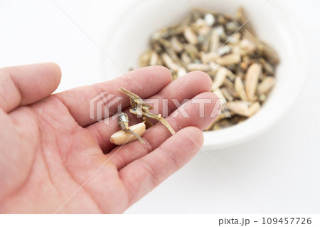 アーモンドフィッシュを持つ男性 アーモンドフィッシュを持つ男性 109457726