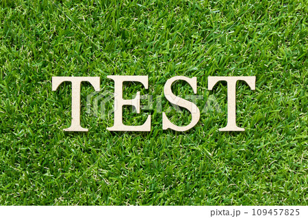 Wood letter in word test on green grass background 109457825