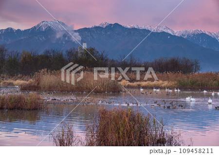 北アルプス・モルゲンロート【御宝田遊水池】 109458211