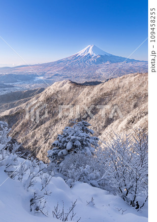 山梨_三ツ峠山から望む絶景富士の雪景色 山梨_三ツ峠山から望む絶景富士の雪景色 109458255