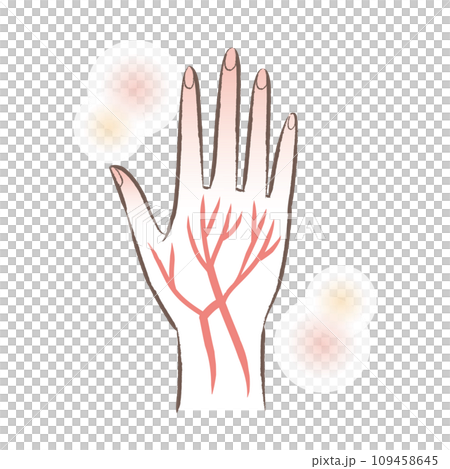 血の巡りがいい ぽかぽかの温かい手・指先のイラスト 血の巡りがいい ぽかぽかの温かい手・指先のイラスト 109458645