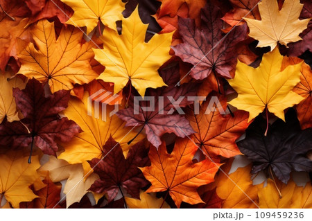 Autumn leaves in natural background, Generative AI 109459236