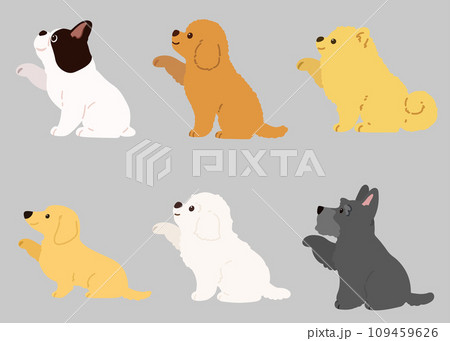 シンプルで可愛いお手をする小型犬のイラスト　主線なし 109459626