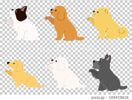 シンプルで可愛いお手をする小型犬のイラスト　主線なし 109459626