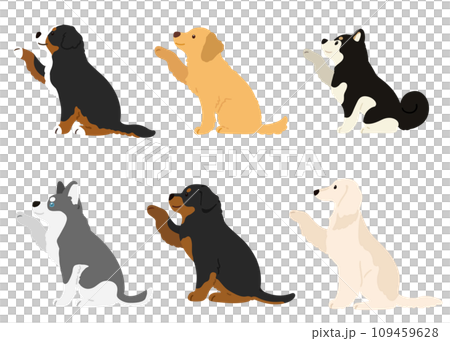 シンプルで可愛いお手をする大型犬のイラスト　主線なし 109459628