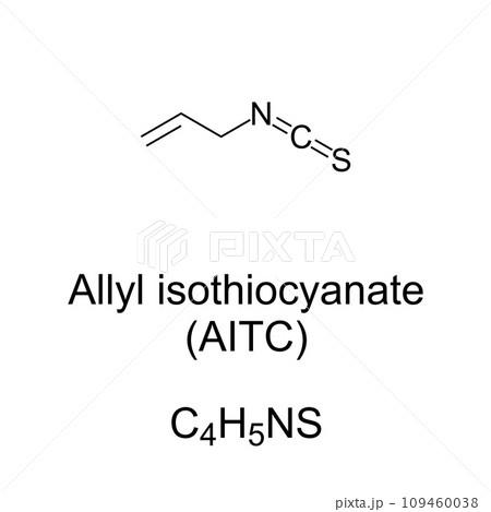 Allyl isothiocyanate, chemical formula and structure. Colorless oil, responsible for pungent taste and lachrymatory effect of Cruciferous vegetables such as mustard, radish, horseradish, and wasabi. Allyl isothiocyanate, chemical formula and structure. Colorless oil, responsible for pungent taste and lachrymatory effect of Cruciferous vegetables such as mustard, radish, horseradish, and wasabi. 109460038