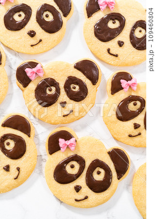 Panda-shaped shortbread cookies with chocolate icing on the kitchen counter. 109460804