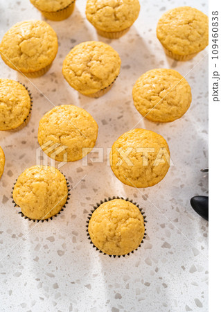Cooling freshly baked dulce de leche cupcakes on a kitchen counter. 109460838