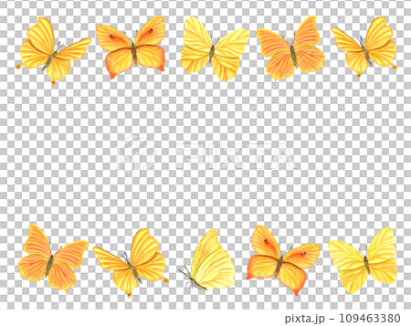Horizontal frame of yellow orange butterflies. Fluttering lepidoptera, tropical flying, sitting insects with wings. Watercolor illustration. Space for text. For postcards, invitation, greetings 109463380