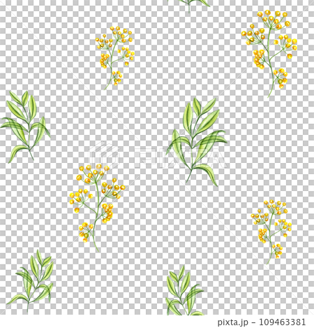 Spring pattern with yellow flowers and green branches of leaves. Plants in transparent style. Watercolor illustration isolated on white. For Valentines day, mothers day textile, wallpaper 109463381