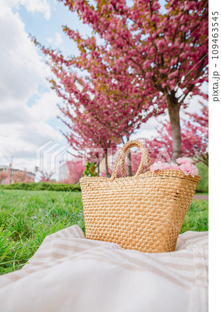 picnic blanket with straw hat and bag on green grass covered with pink sakura flowers picnic blanket with straw hat and bag on green grass covered with pink sakura flowers 109463545