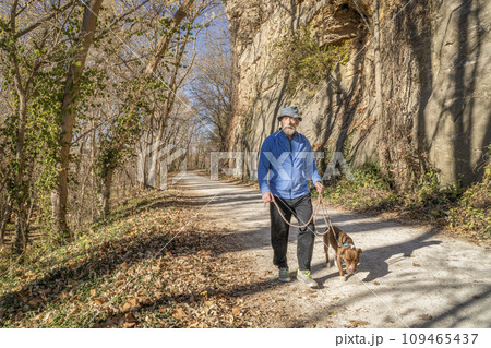 senior man is walking with a pitbull dog on Katy Trail near Rocheport, Missouri, late November forest scenery senior man is walking with a pitbull dog on Katy Trail near Rocheport, Missouri, late November forest scenery 109465437