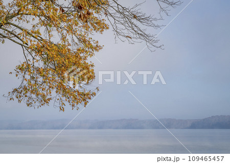 foggy November morning over the Tennessee River at Colbert Ferry Park, Natchez Trace Parkway 109465457