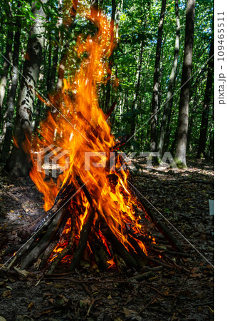 Flame of charcoal fire. Hearth for cooking and heating. Danger in forest Flame of charcoal fire. Hearth for cooking and heating. Danger in forest 109465511