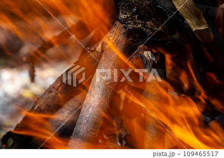Flame of charcoal fire. Hearth for cooking and heating. Danger in forest Flame of charcoal fire. Hearth for cooking and heating. Danger in forest 109465517