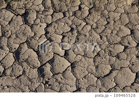 Wall texture soil dry crack pattern of drought lack of water of nature brown old broken background Wall texture soil dry crack pattern of drought lack of water of nature brown old broken background 109465528