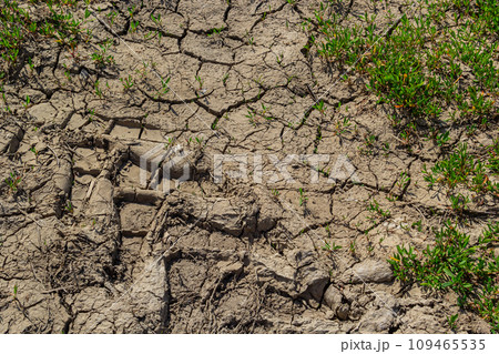 Wall texture soil dry crack pattern of drought lack of water of nature brown old broken background 109465535