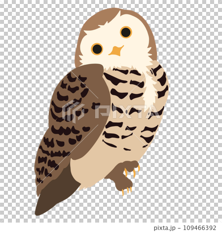 Owl simple color silhouette illustration Owl simple color silhouette illustration 109466392