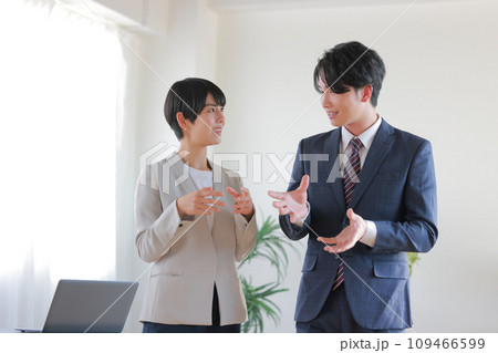 身振りを交え打ち合わせるビジネスパーソン男女3 109466599