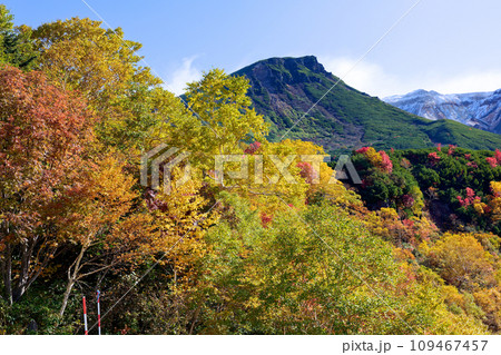 十勝岳温泉の紅葉  109467457
