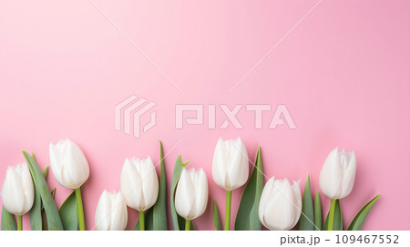 White tulips on the pink background. Valentines background. White tulips on the pink background. Valentines background. 109467552