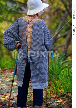 老人の散歩 109468020