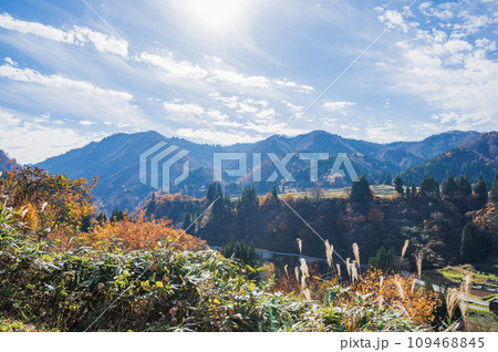 新潟　秋の風景（十日町） 109468845